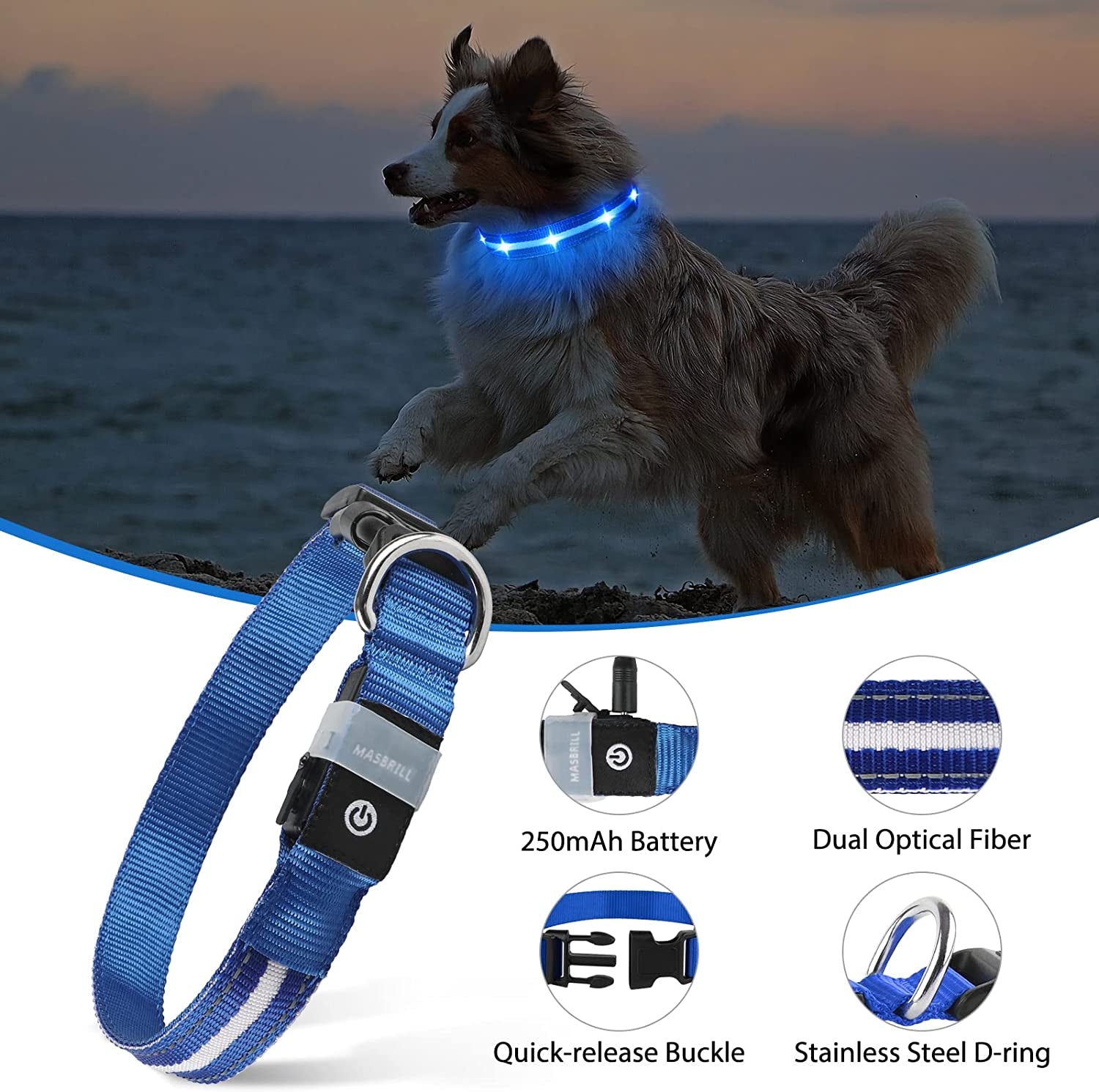 NightGlow Rechargeable LED Dog Collar"