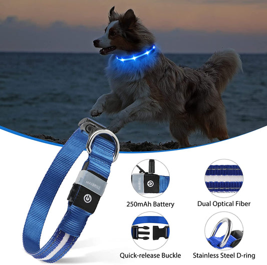 NightGlow Rechargeable LED Dog Collar"