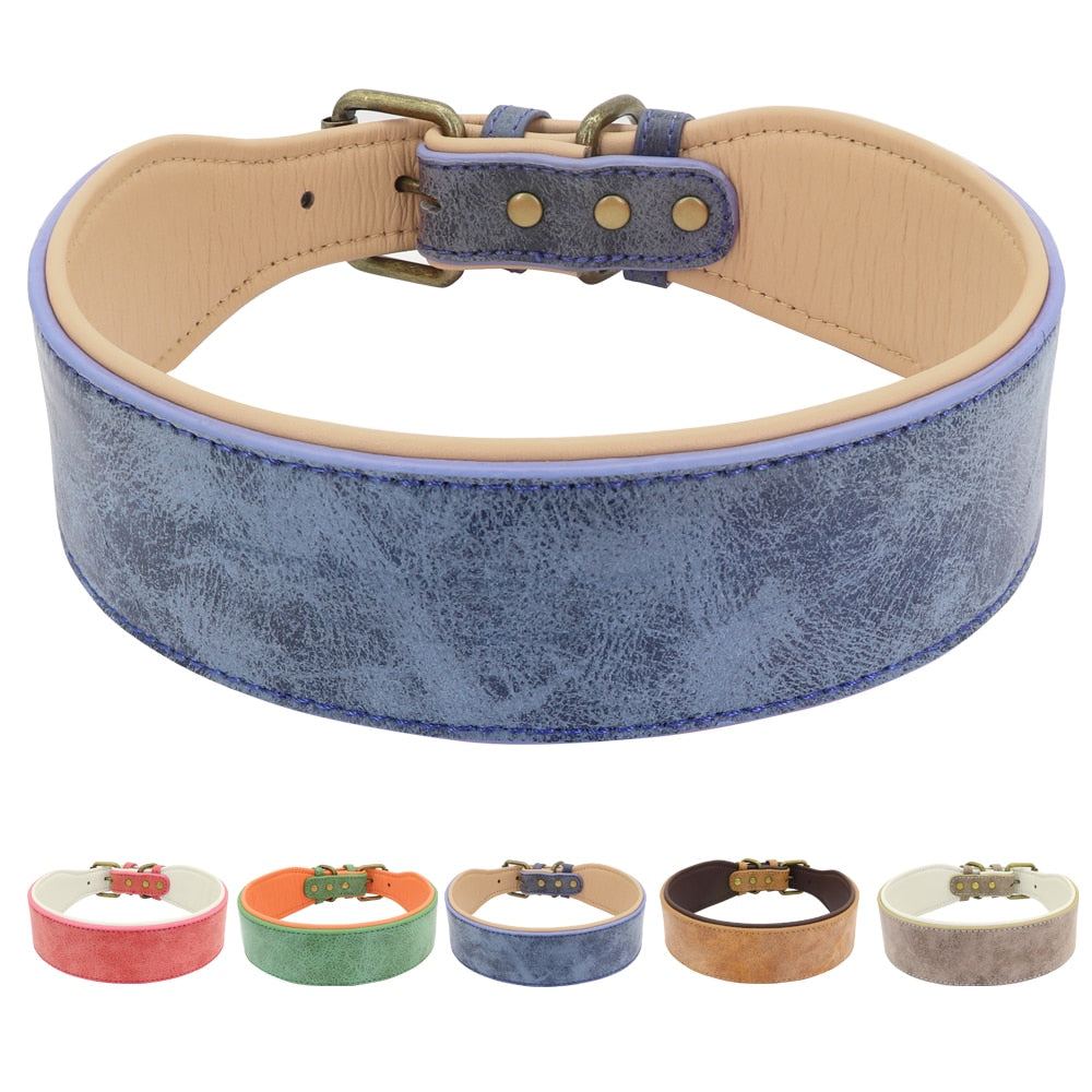 Wide Padded Collar