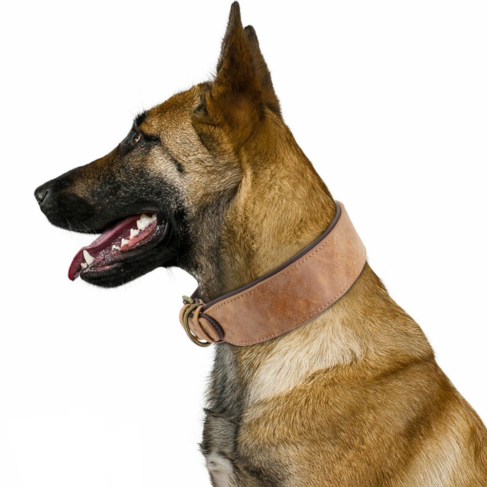 Wide Padded Collar