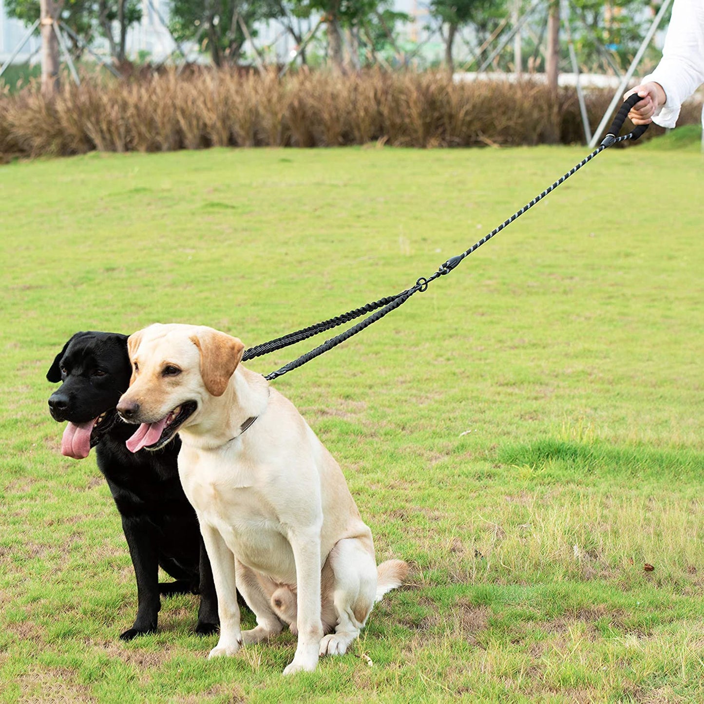 Twin Lead Walking Dog Leashes