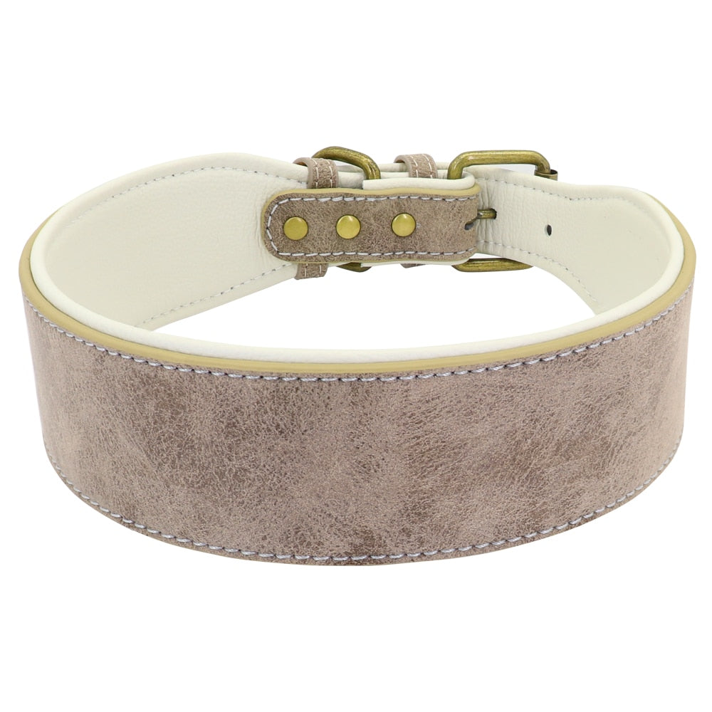 Wide Padded Collar