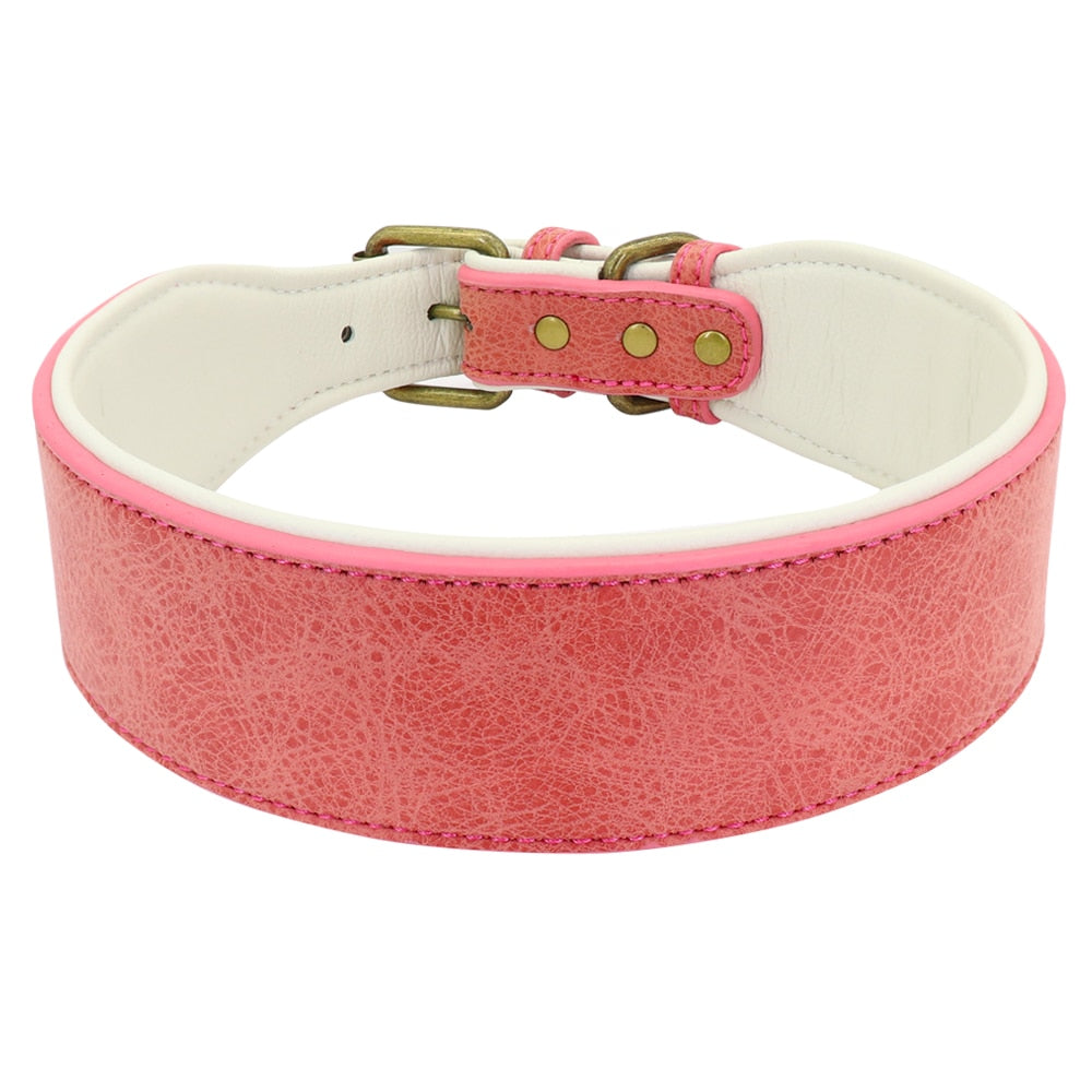 Wide Padded Collar