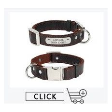 Pup-Grade Leather Collar