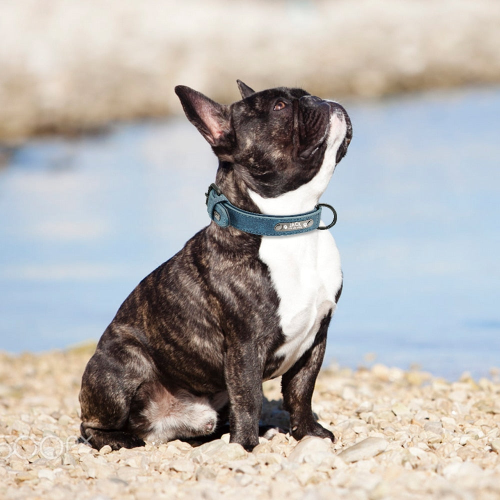 Pup-Grade Leather Collar