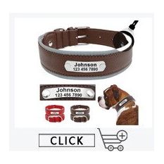 Pup-Grade Leather Collar