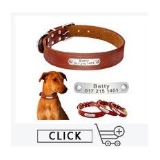 Pup-Grade Leather Collar