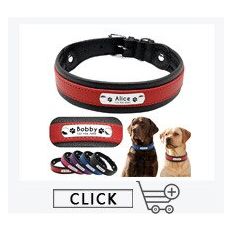 Pup-Grade Leather Collar