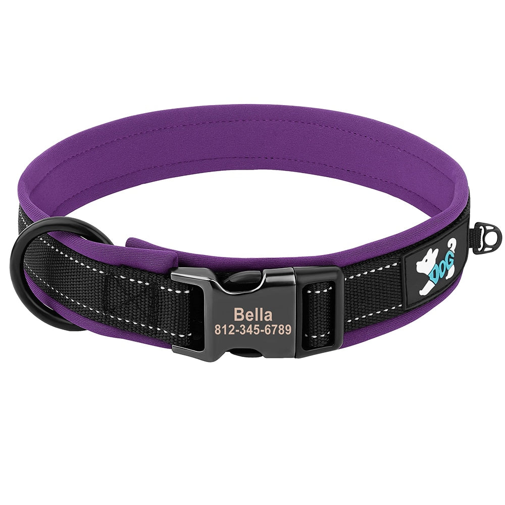 Grade Dog Collar