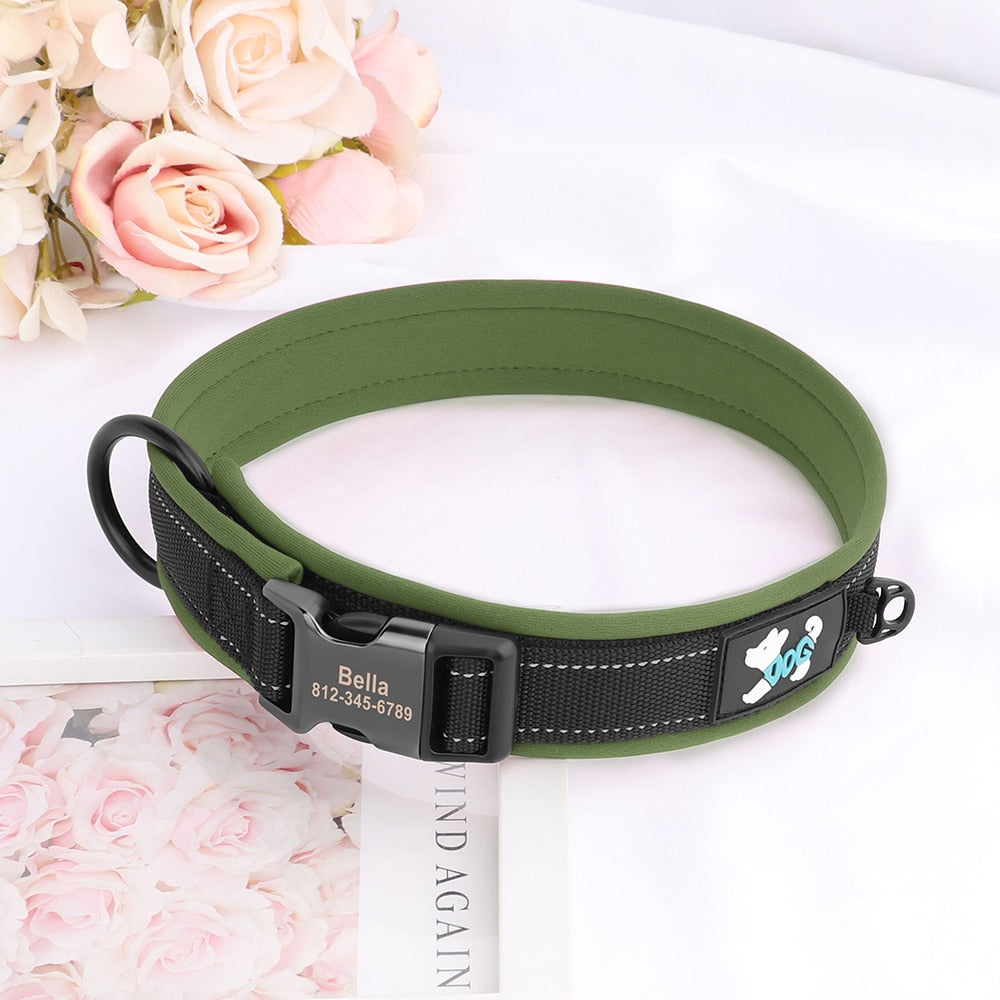 Grade Dog Collar