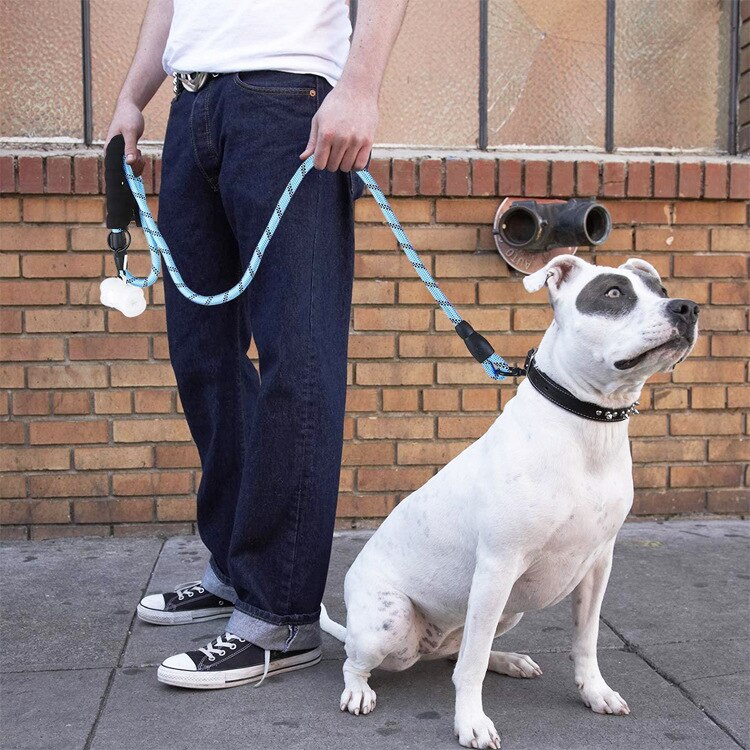 Glowing Guardian Leash