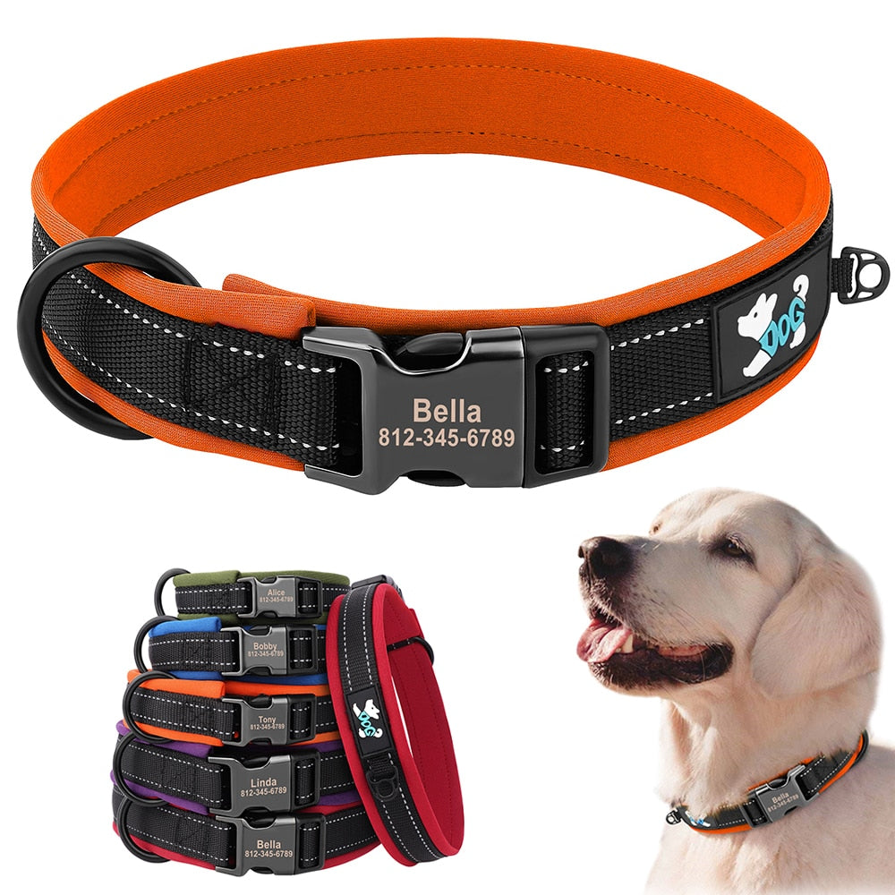 Grade Dog Collar