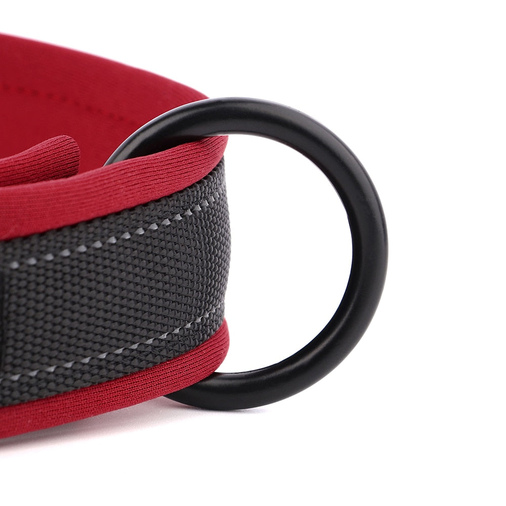 Grade Dog Collar