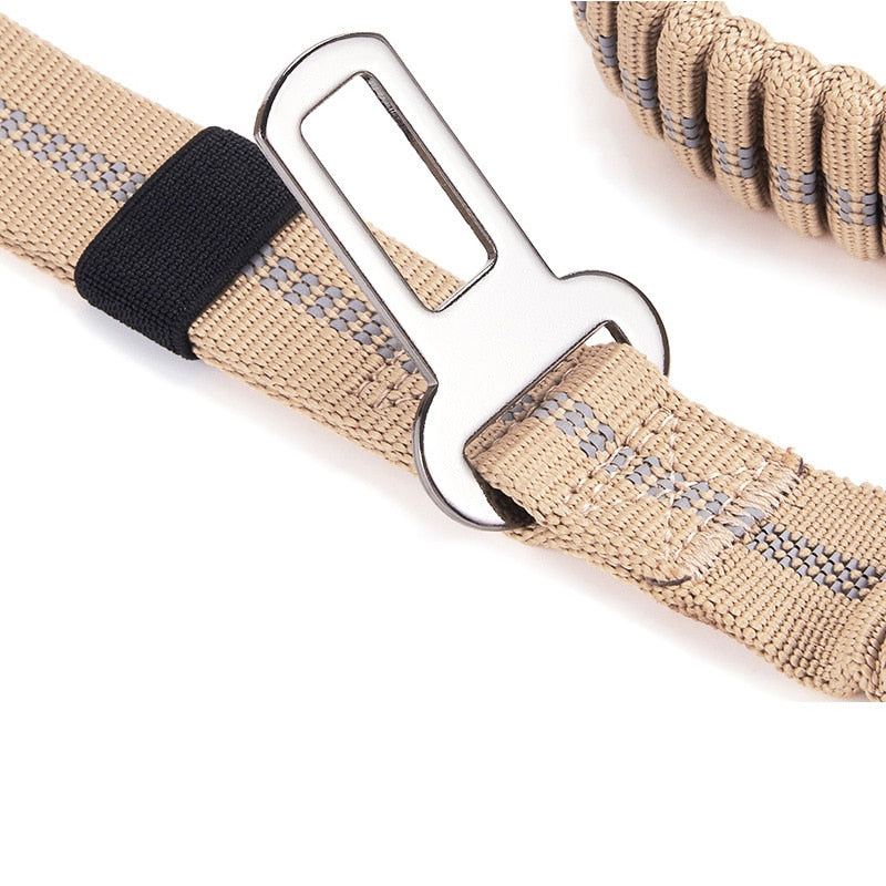 Elastic Bungee  Leash