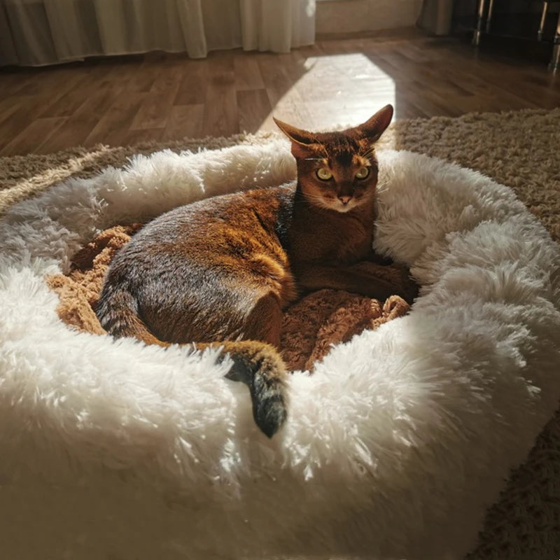 Super Soft Cat Bed