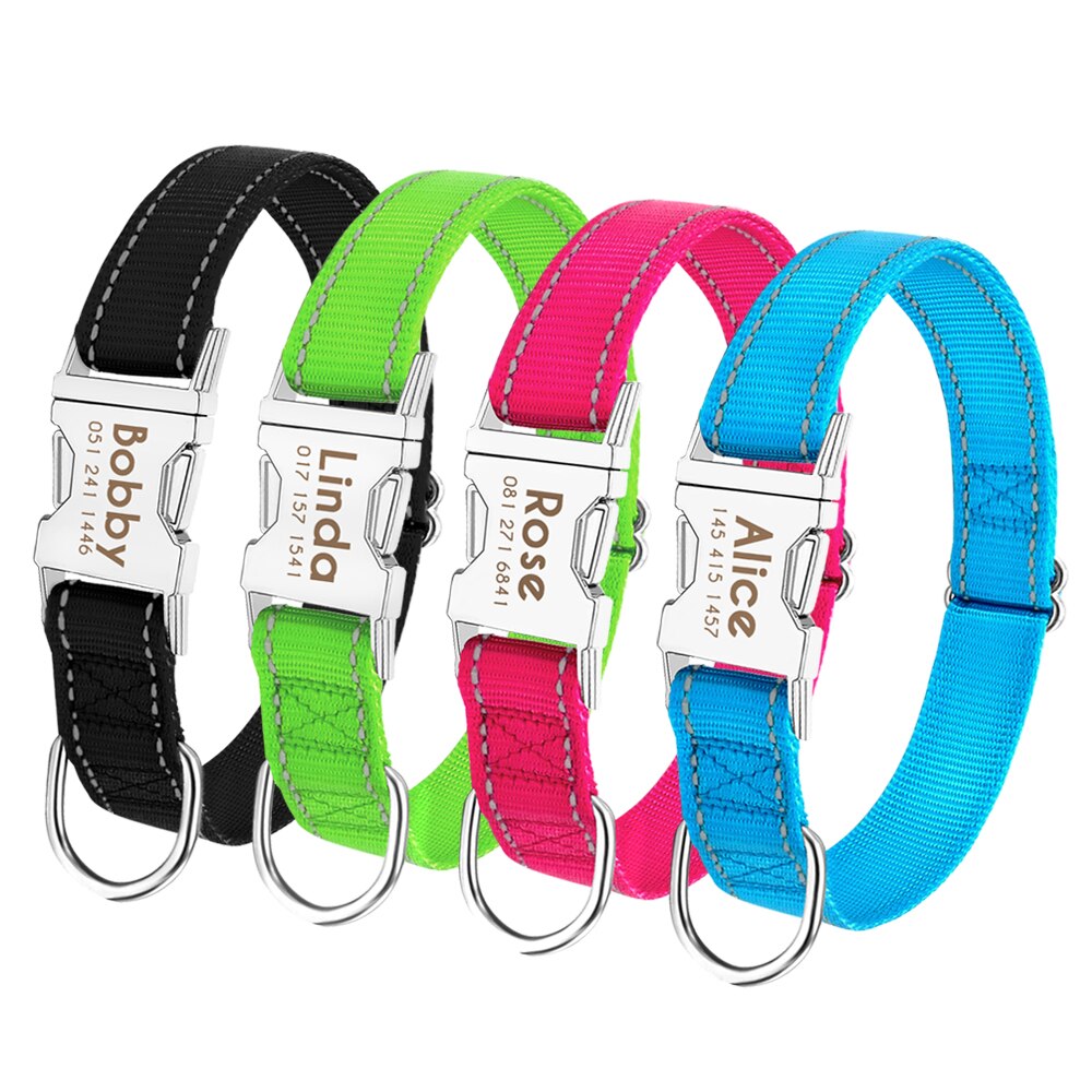 Dyna Premium Personalised Dog Collar