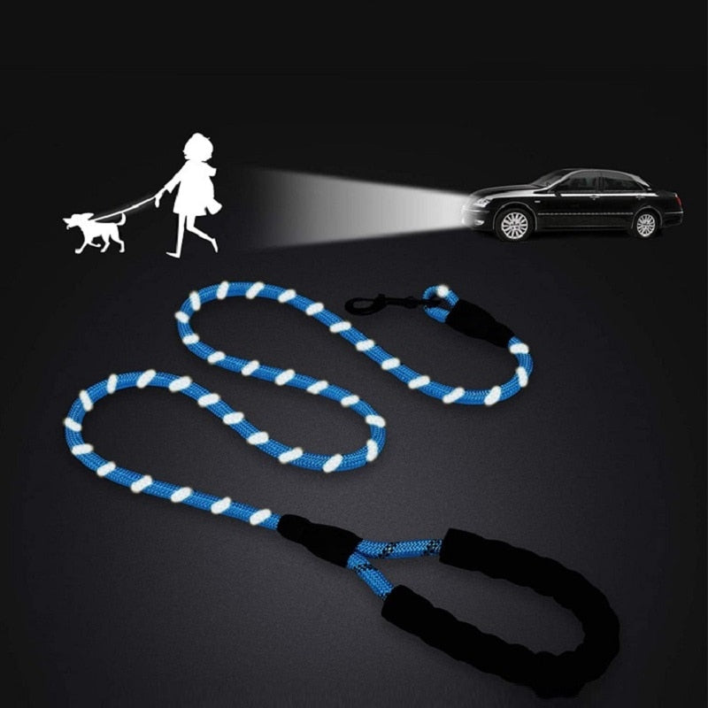 Glowing Guardian Leash