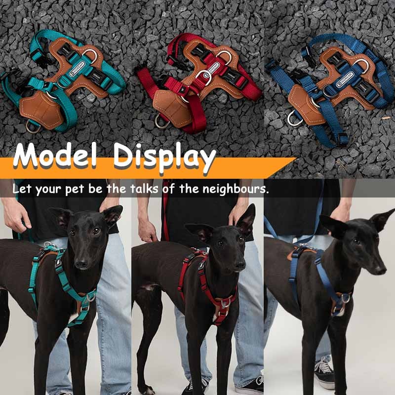 Mysudui Dog Leather Harness