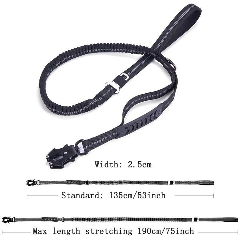 Elastic Bungee  Leash