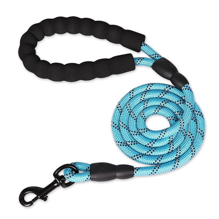 Glowing Guardian Leash