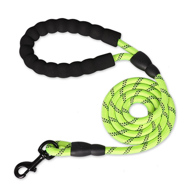 Glowing Guardian Leash