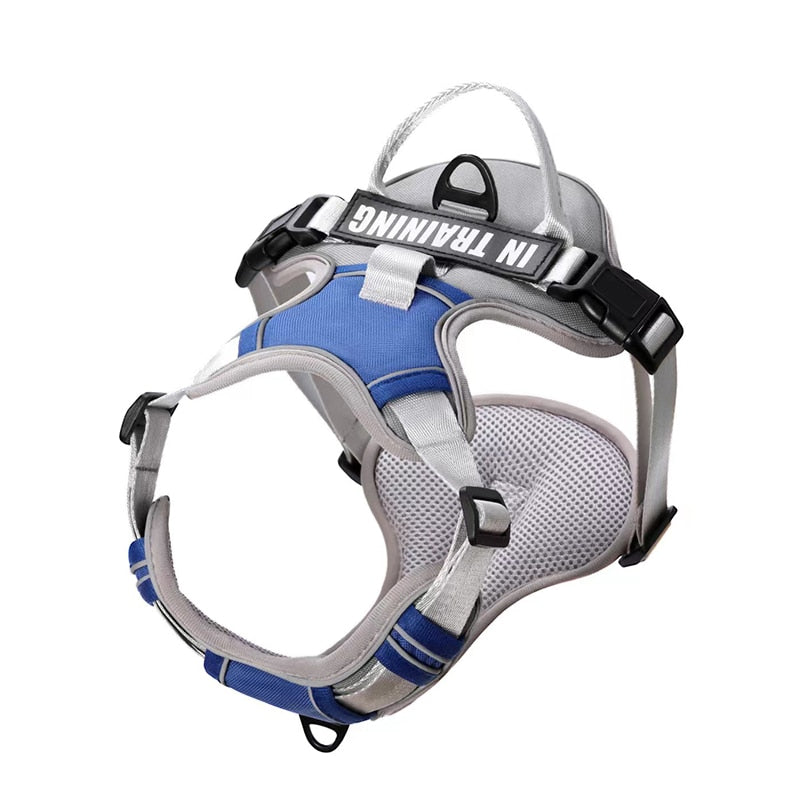 Dog Harness [Glow bee ]