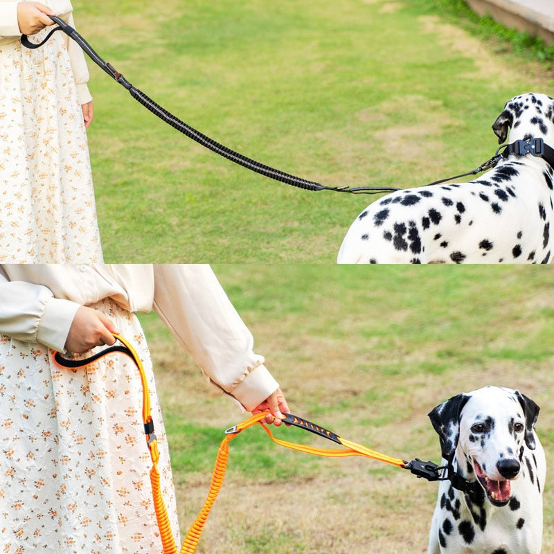 Elastic Bungee  Leash