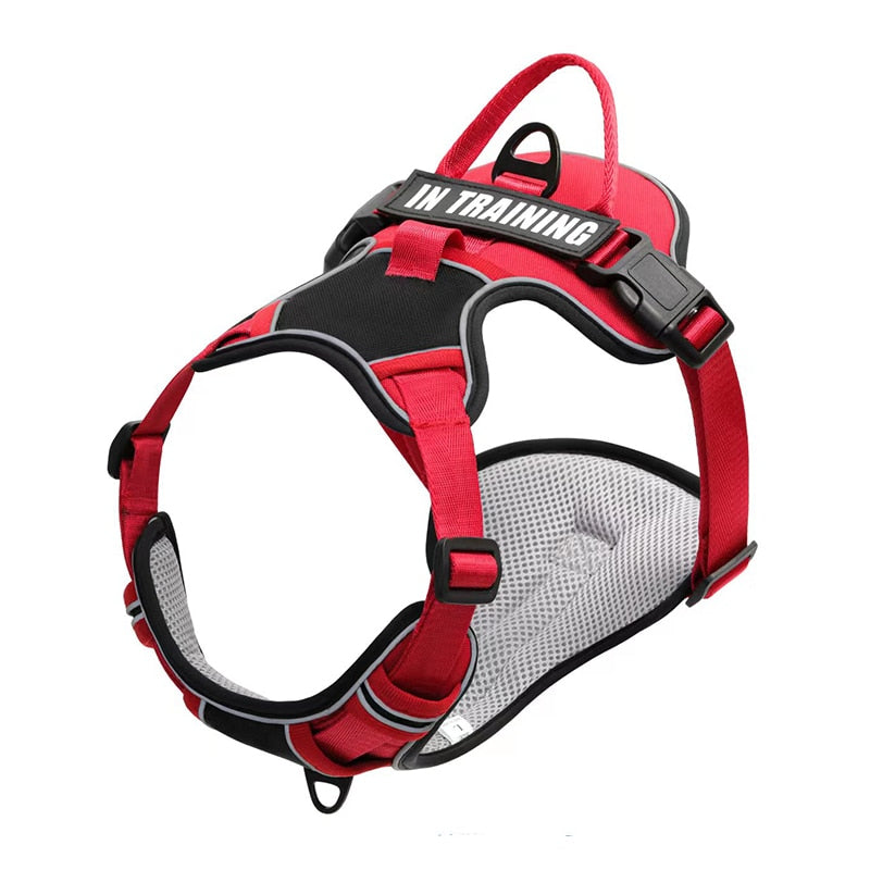 Dog Harness [Glow bee ]