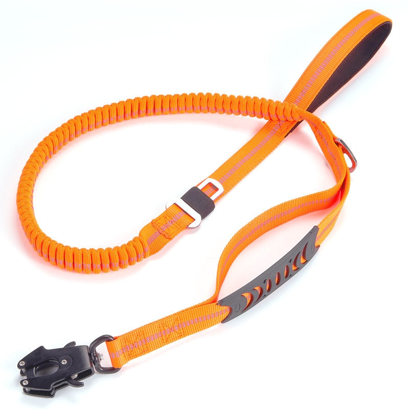 Elastic Bungee  Leash