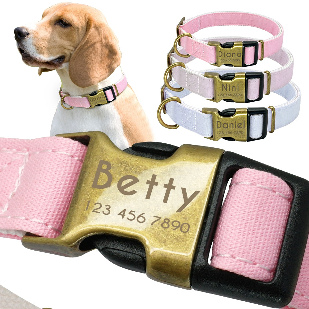 Dyna Premium Personalised Dog Collar