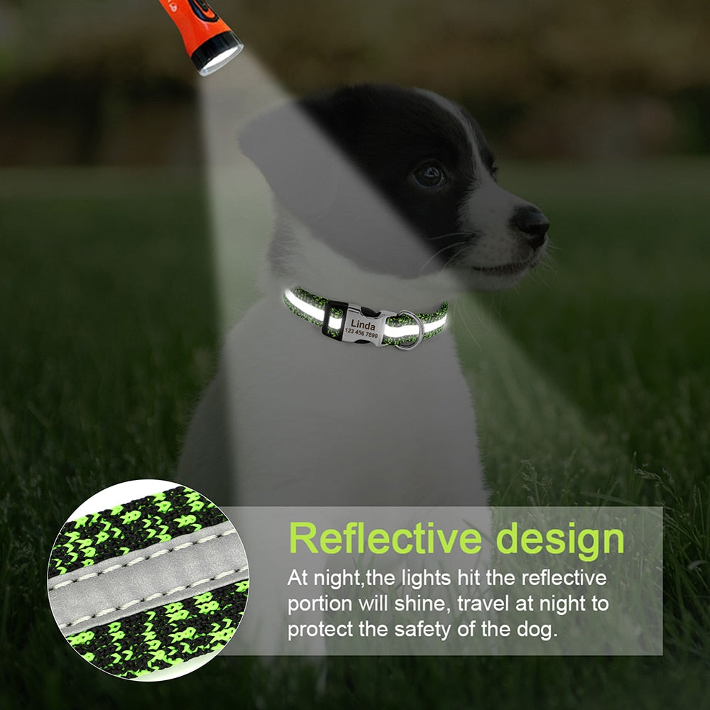 Dyna Premium Personalised Dog Collar