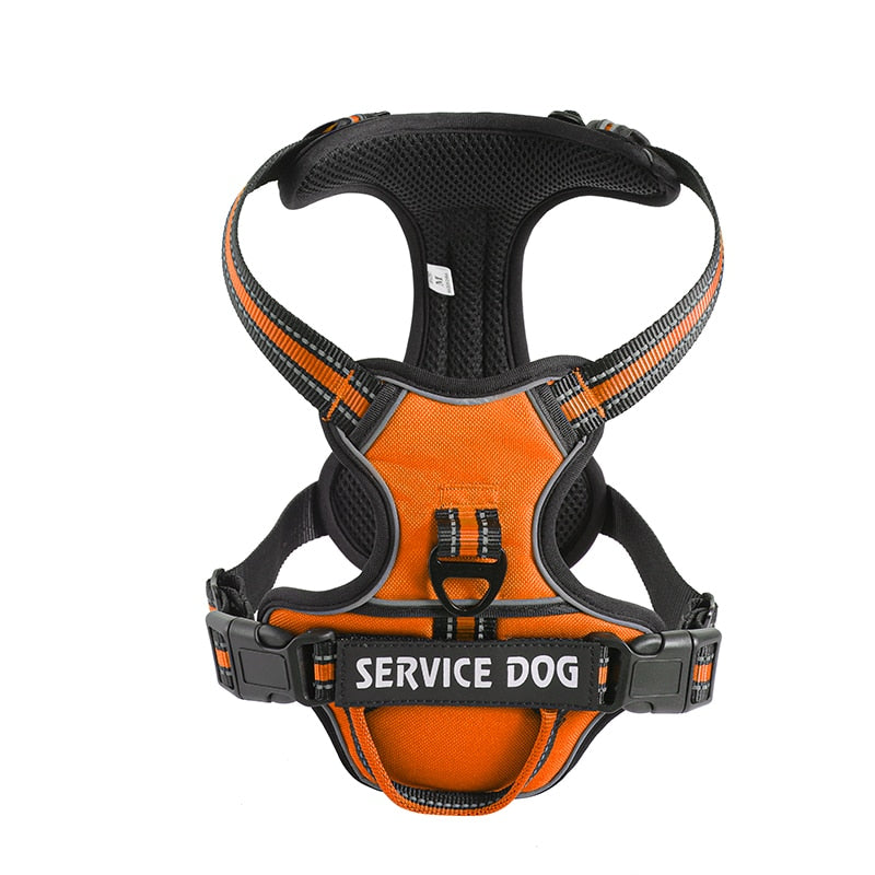 Dog Harness [Glow bee ]