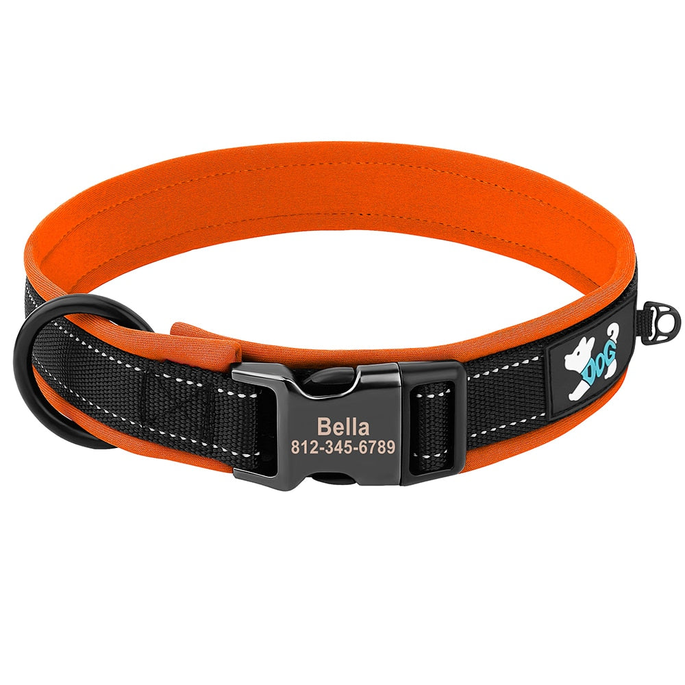 Grade Dog Collar