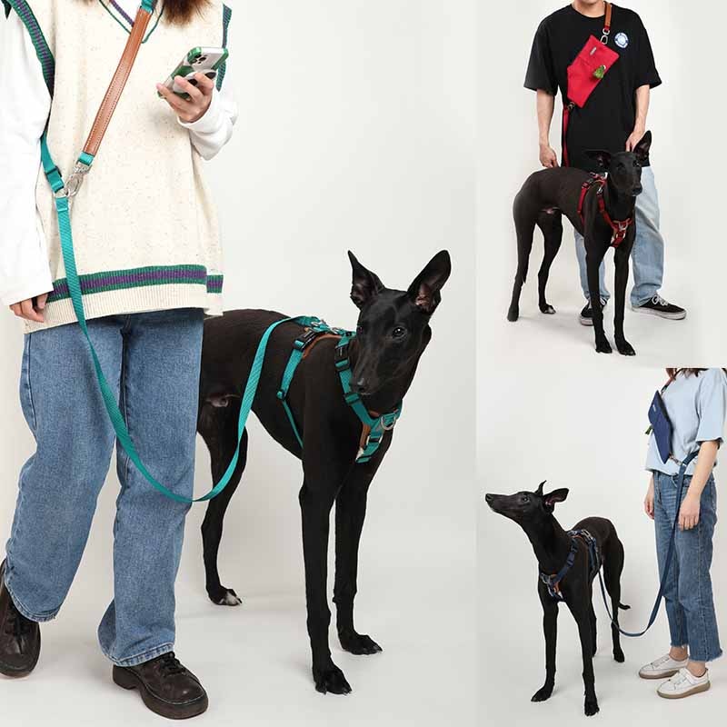 Mysudui Dog Leather Harness