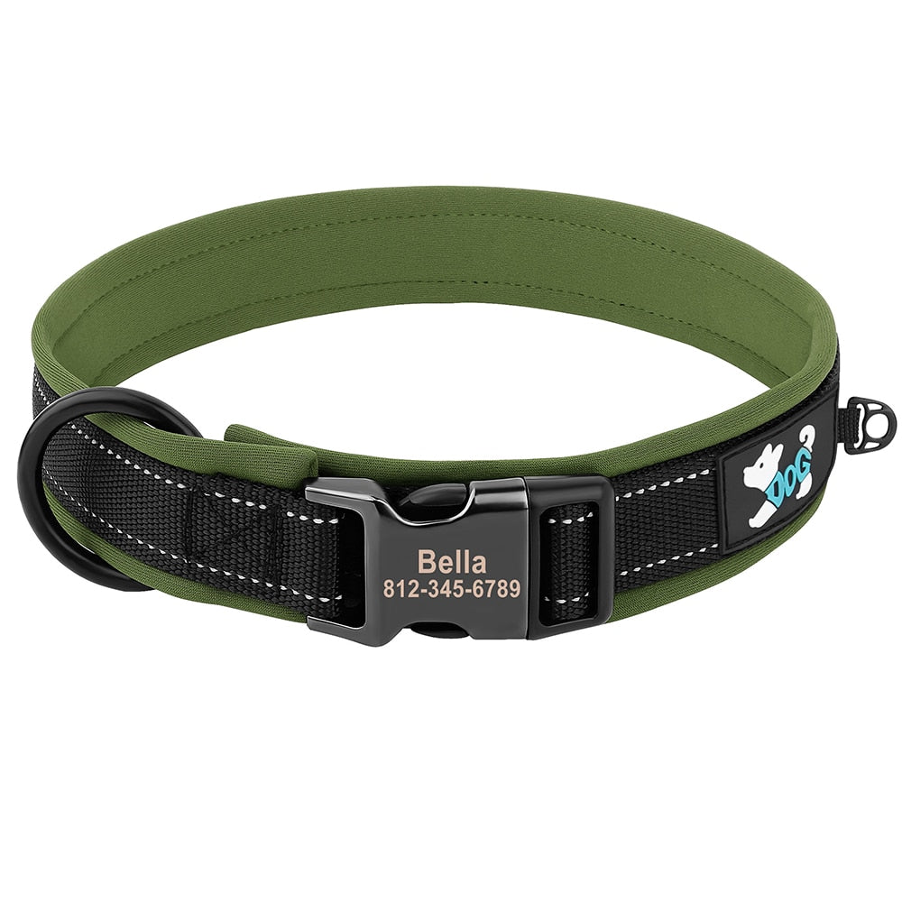 Grade Dog Collar