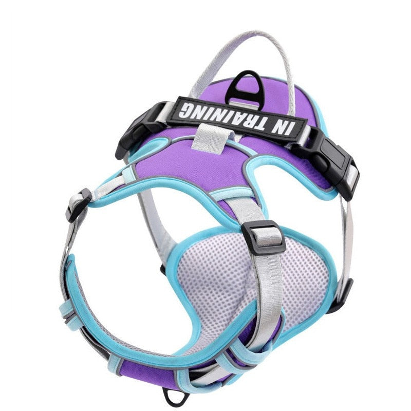 Dog Harness [Glow bee ]