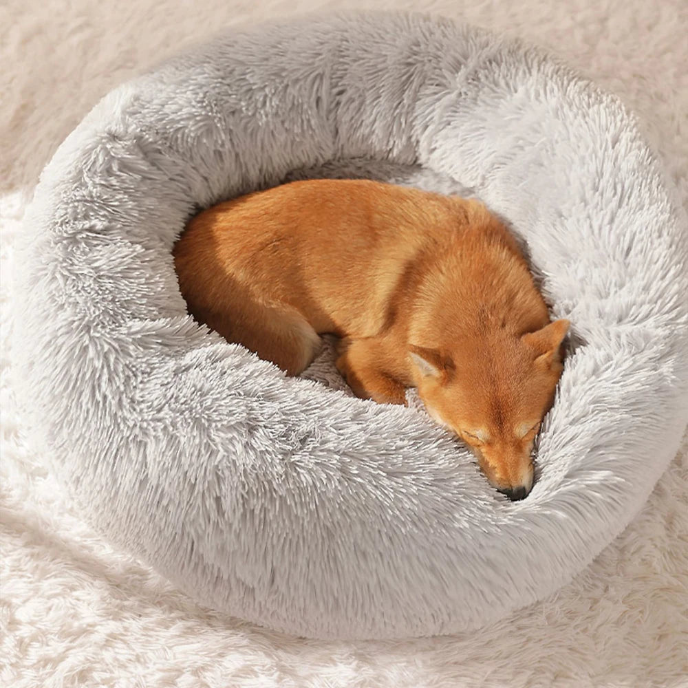 Super Soft Cat Bed