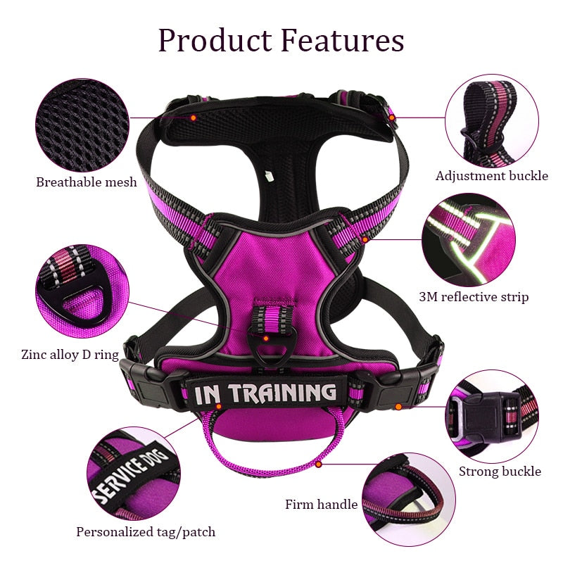 Dog Harness [Glow bee ]