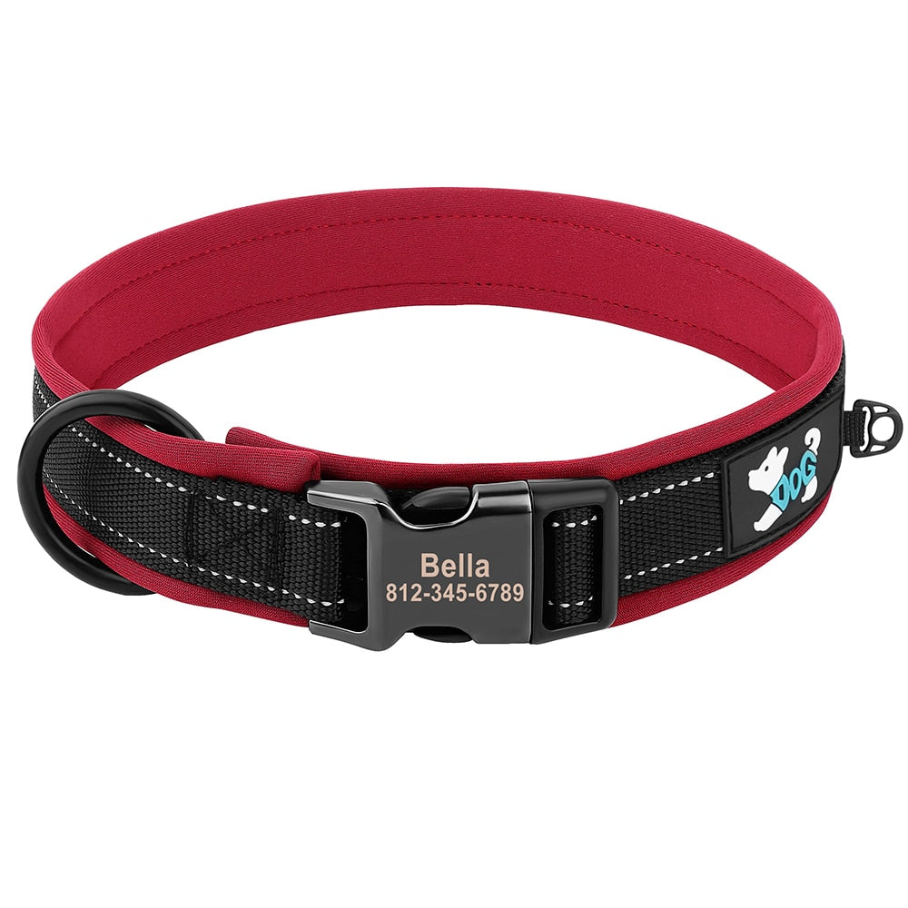 Grade Dog Collar